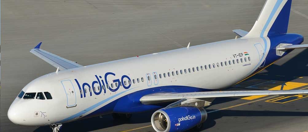 Indigo