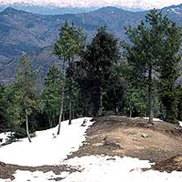 Kufri